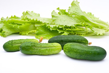 Fresh cucumbers with lettuce salad