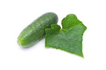 Fresh cucumber with leaf