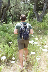 man hiking through a beautiful forest.