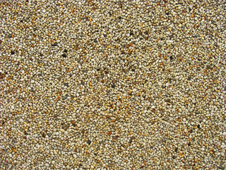 concrete with gray white orange brown stone pebbles wall