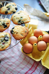cookies7