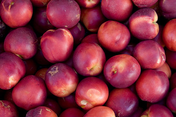 Nectarinas