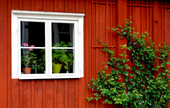 wei&szlig; fenster
