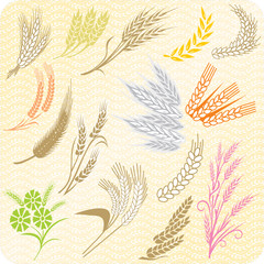 collection wheat ears and sheafs