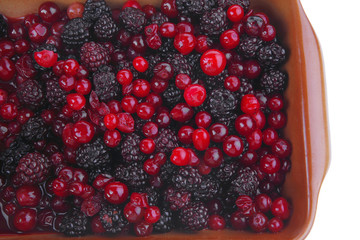wild berry