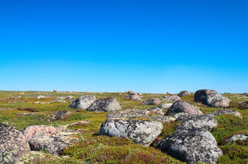 Boulders peack of green hill.
