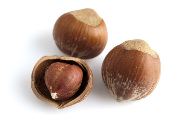Hazelnut
