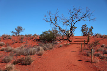 Wüste Zentral Australien