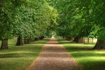 Park