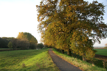 Bodeniederung im Salzlandkreis