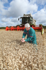 Obraz premium Farmer standing in wheat field during harvest season