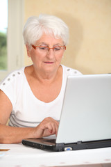 Fototapeta na wymiar Elderly woman learning how to use computer