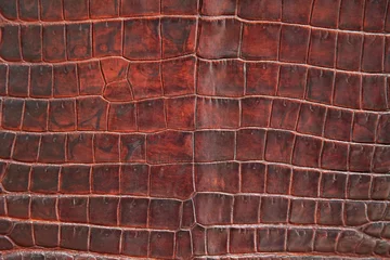 Deurstickers Leder Krokodillenleer Textuur