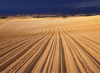 Naklejka premium 鮮烈なる残照