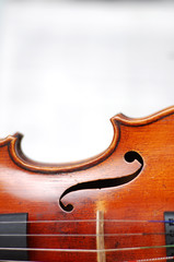 halber Korpus Violine hochkant