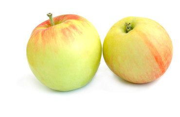 Naklejka na ściany i meble Apples on white background