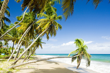 Sauteurs Bay, Grenada