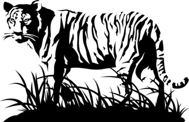 Tiger black and white. Vector