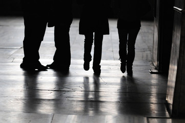 Obraz premium The silhouette