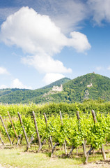 Fototapeta na wymiar Chateau de Saint-Ulrich near Ribeauville with vineyard, Alsace,