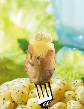 Kartoffel