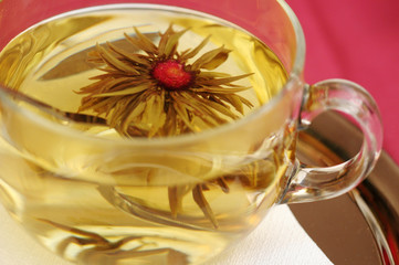 The green tea