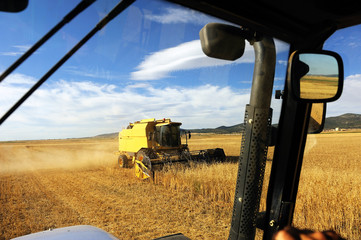 Conduciendo el tractor