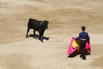 Festival taurino sanfemines, 13 de julio de 2010, Pamplona.