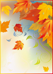 Naklejka na ściany i meble Autumn card, vector