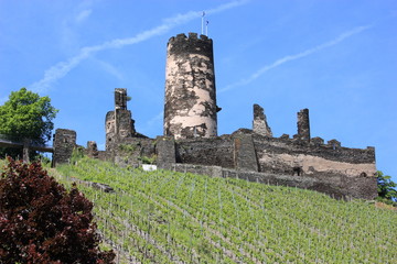 Burgruine Fürstenberg am Rhein (Juni 2010)