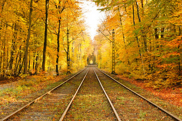 Fototapeta na wymiar Railway in autumn forest