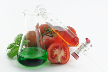 tomaten im chemielabor