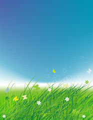 Fototapeta na wymiar Green field with butterflies, summer background