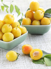 cherry-plum