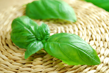 Basil