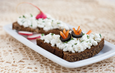Rye bread with cottage cheese, radish and paprika