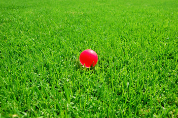 green grass pink ball