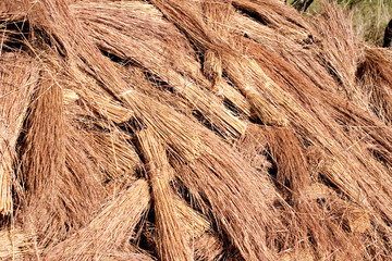 thatch roof grass
