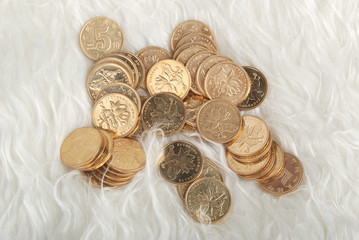 coins on blanket