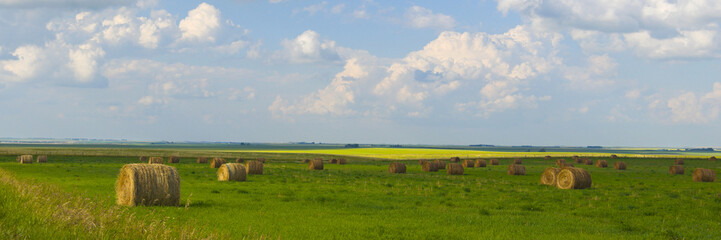 Hay Field