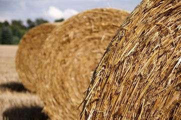 Strohballen - Detail
