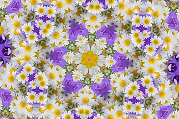 Kaleidoscope with chamomiles and campanulas