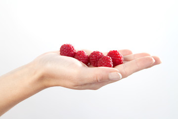 framboises dans une main de femme