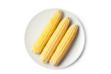 yellow corn