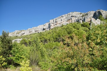 Fototapeta na wymiar colline provençale