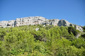 Fototapeta na wymiar colline provençale