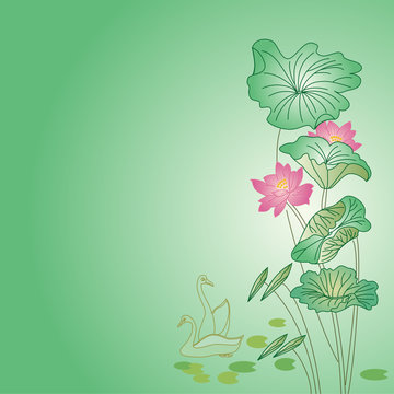 荷花荷叶Stock Vector | Adobe Stock