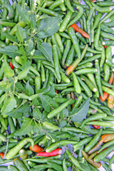 piments verts
