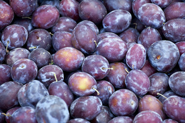 Świeże śliwki na targu