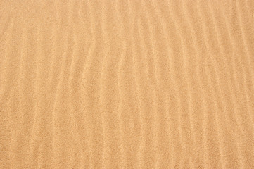 Fototapeta na wymiar Mokry piasek na wybrzeżu tle